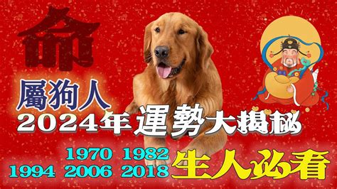 1982年屬狗 運勢|【1982年生肖】1982年生肖狗完整解析！2023年運勢、桃花、工。